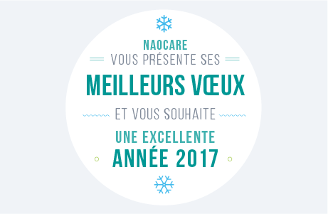 Très bonne année 2017 !